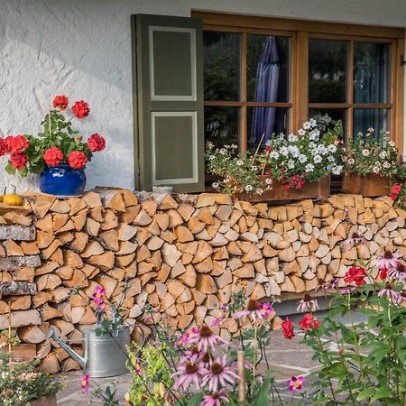 Ferienwohnung Gipfelblick Грайнау Екстериор снимка